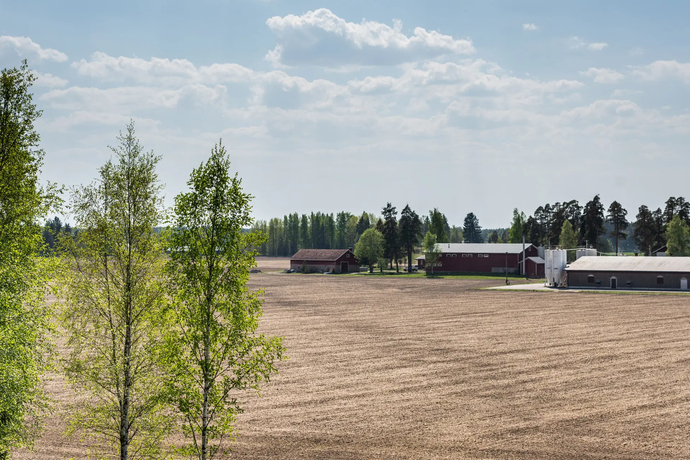 Peltolan Broileritila