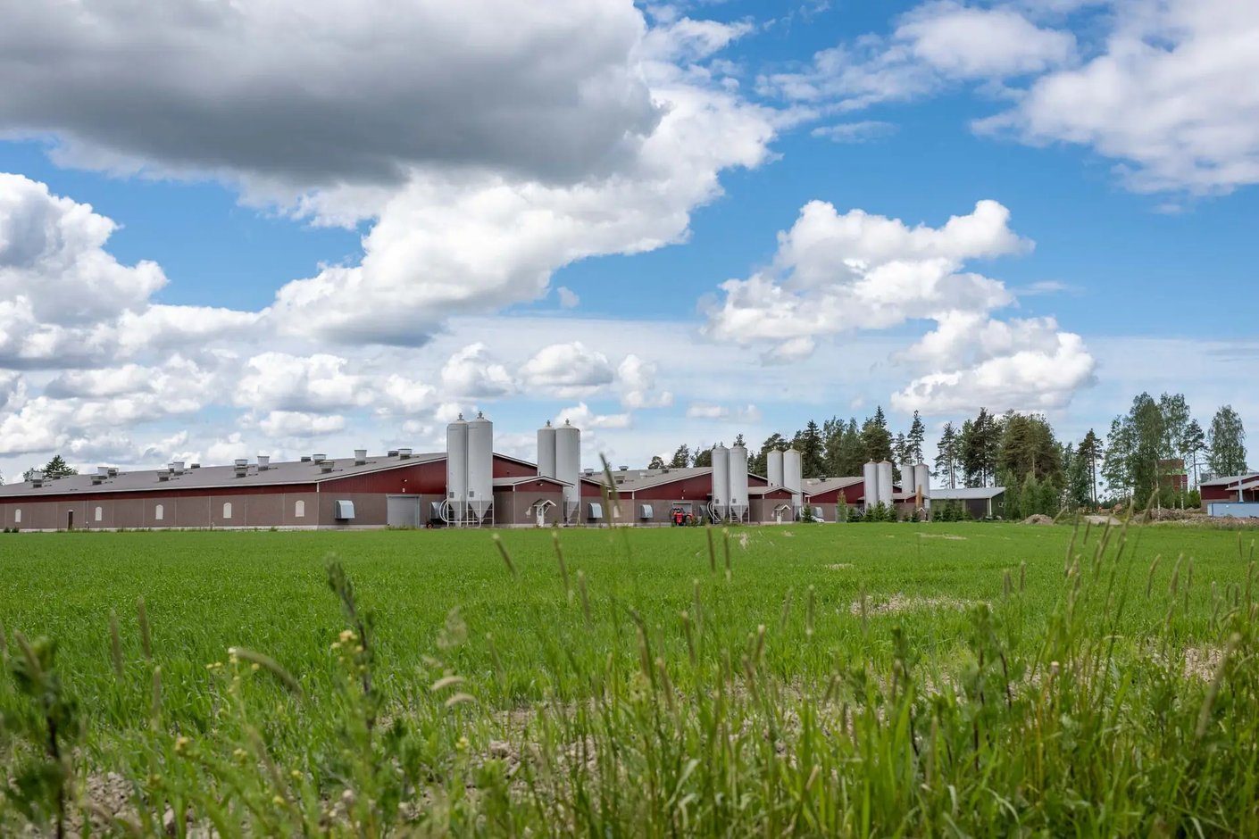 Kariniemen kotitila Härkälän tila kanalat