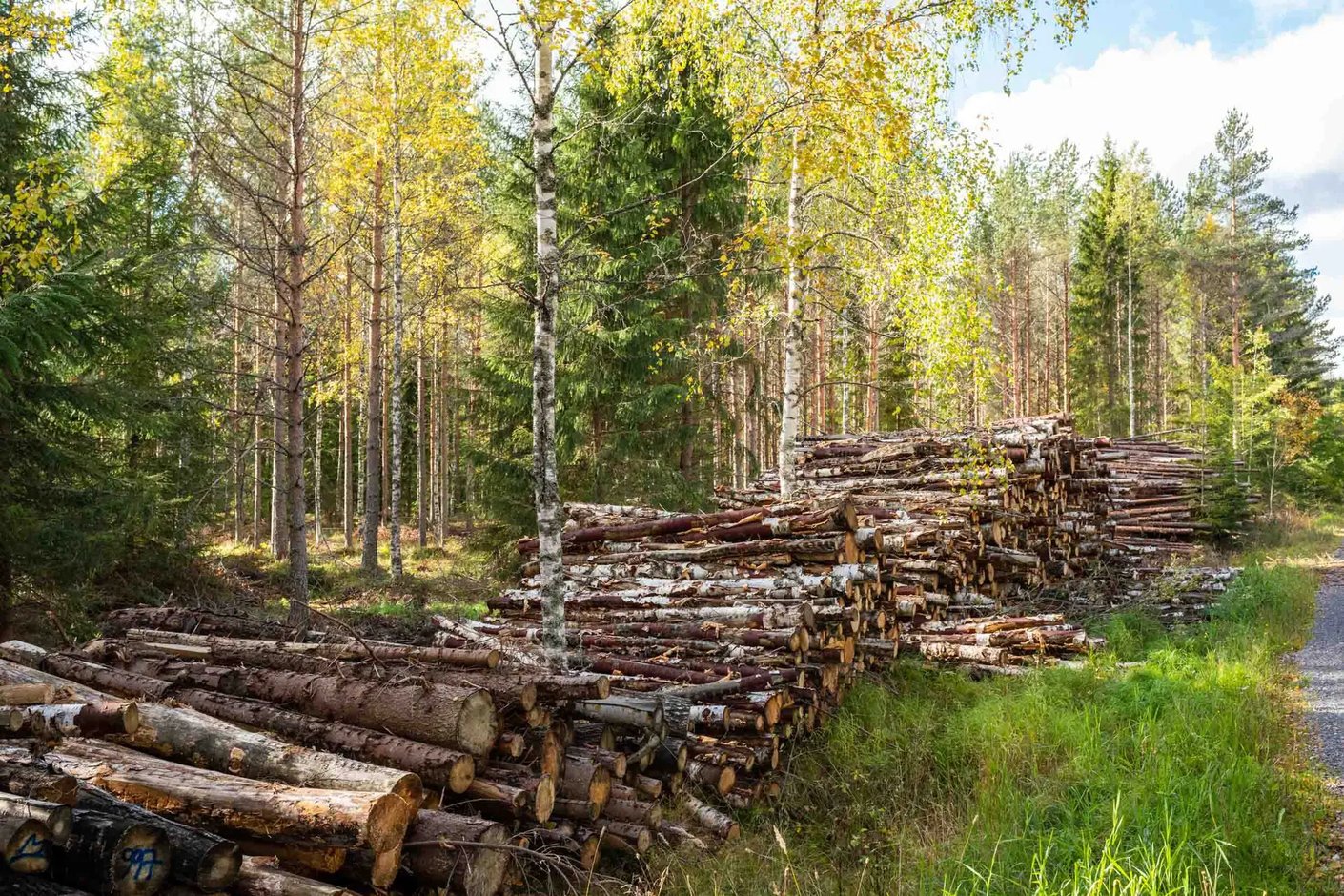 Kariniemen kotitila Kyöstilän tila puupinot