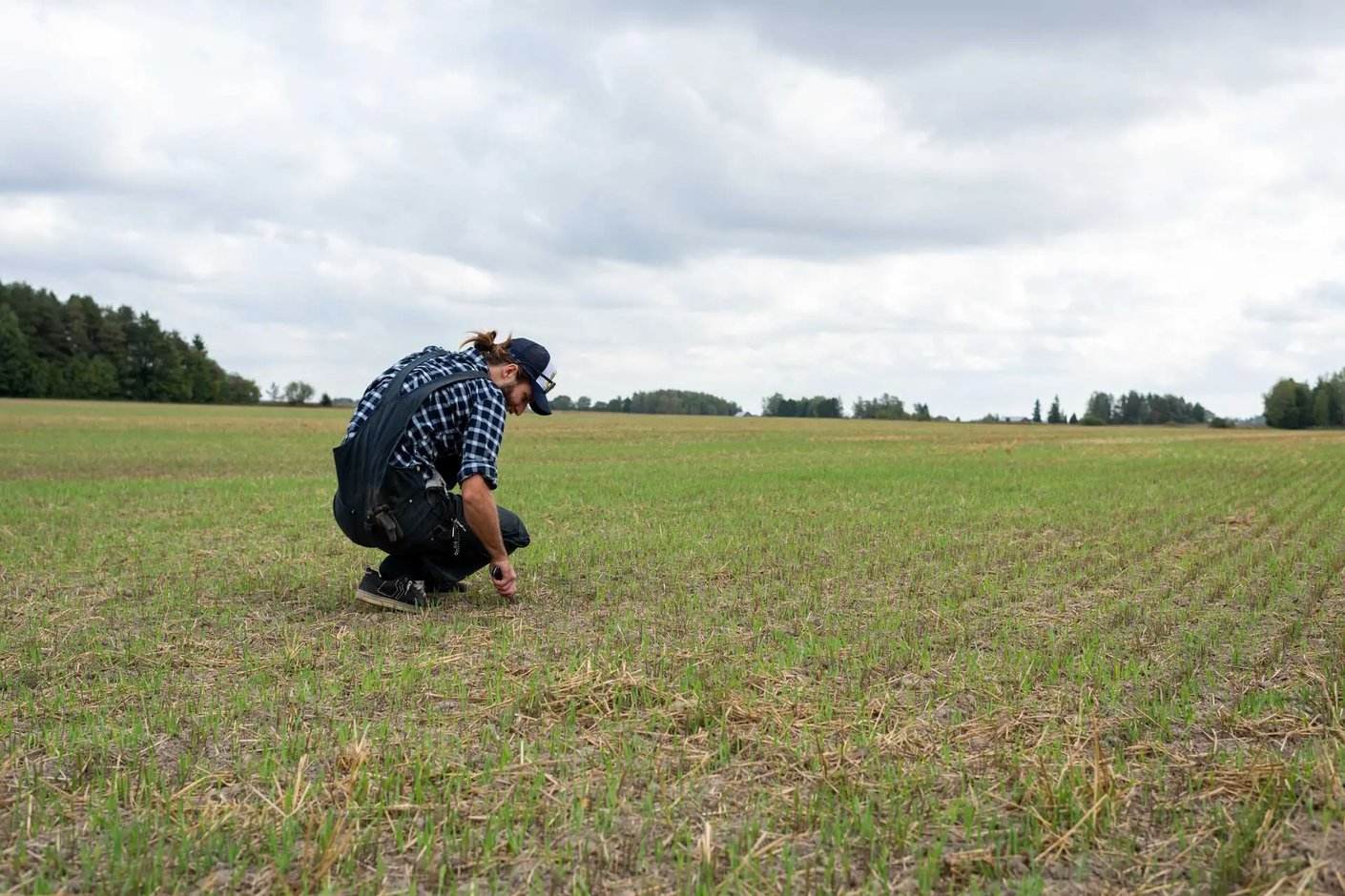 Kariniemen kotitila Pusan tila tilanpitäjä pellolla