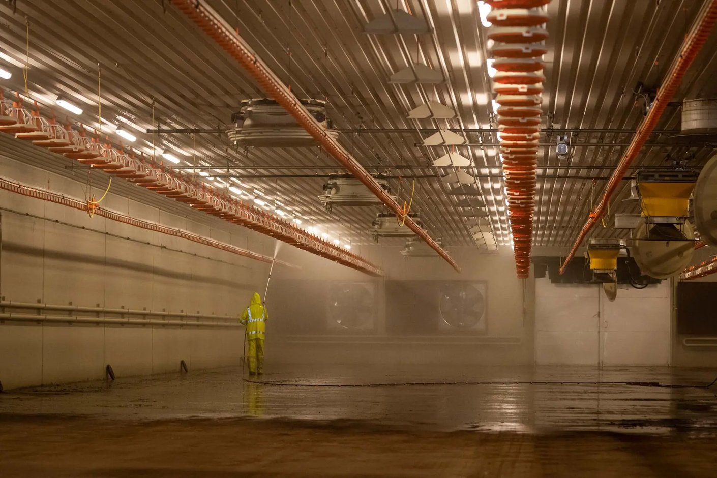 Kariniemen kotitila Sarkainsuon tila kanalan pesu