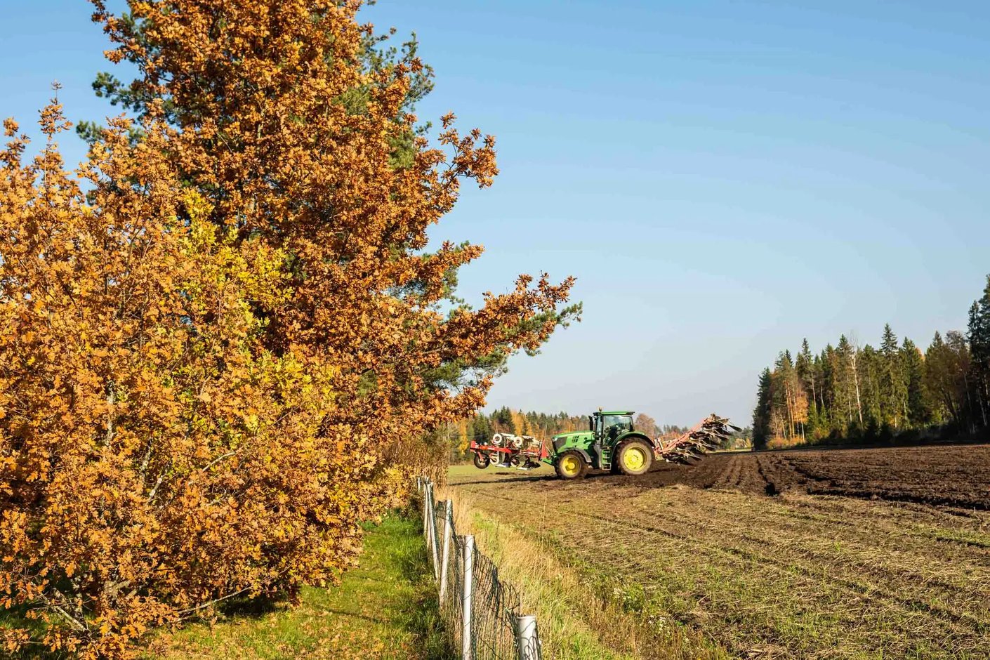 Kariniemen kotitila Tammen tila traktori syksyisellä pellolla