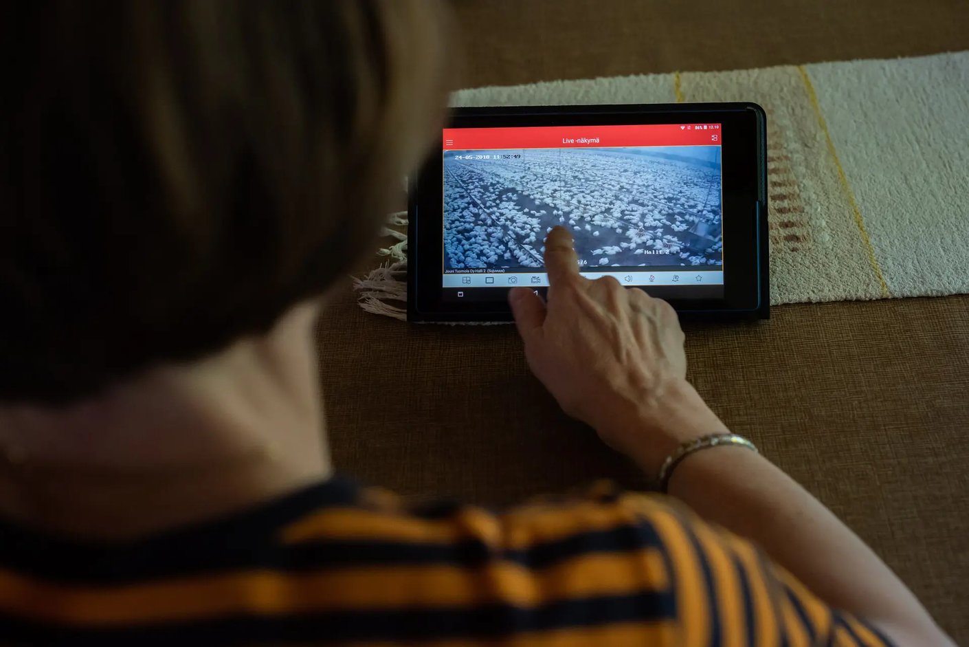 Kariniemen kotitila Tuomolan tila tabletti