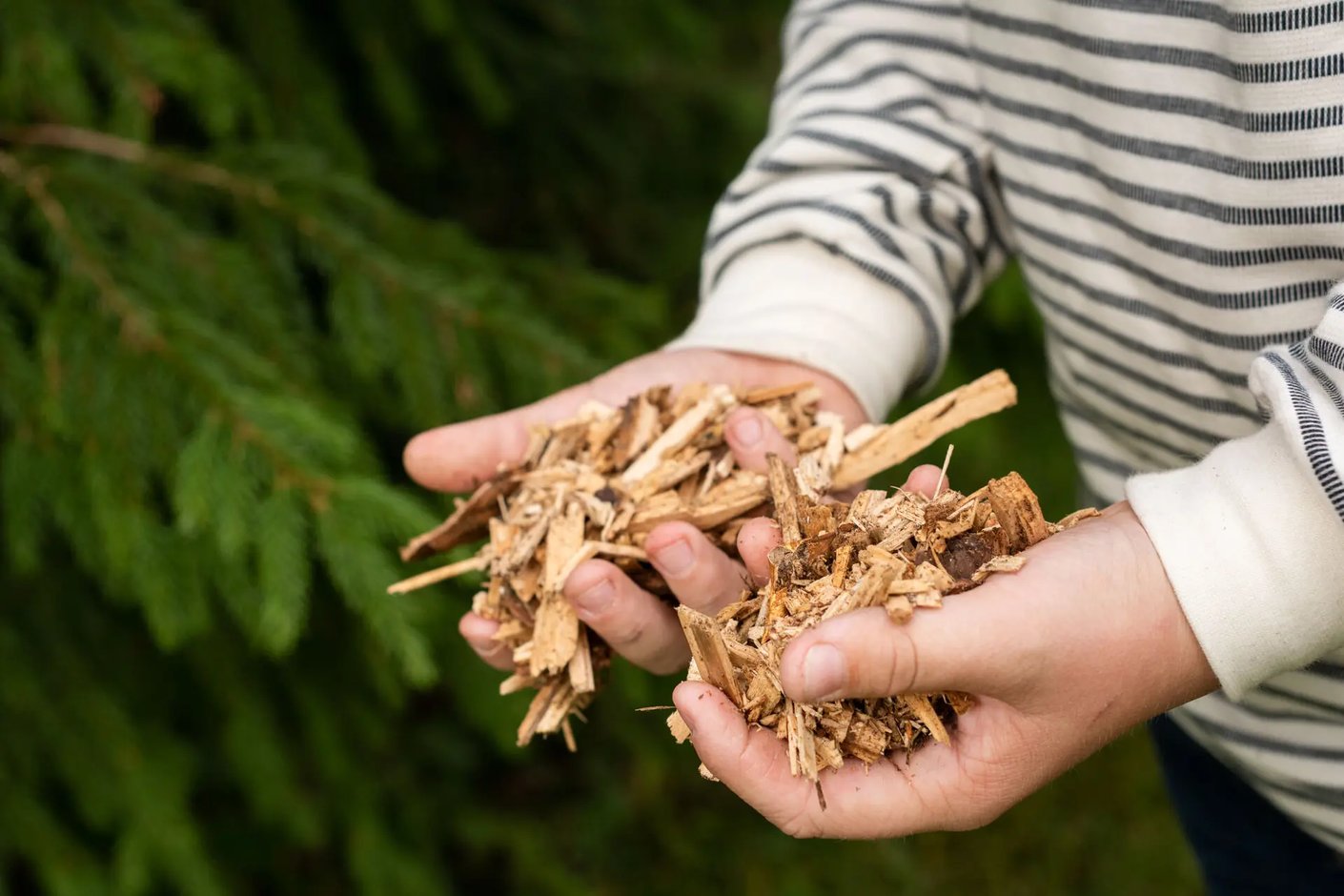 Kariniemen kotitila Yli-Jaman tila kuorikatetta käsissä