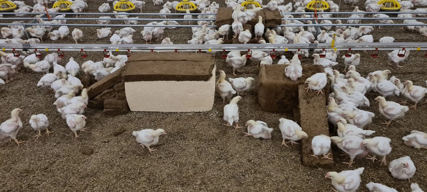 Kariniemen Kiiskin tila broilerhalli virikkeet