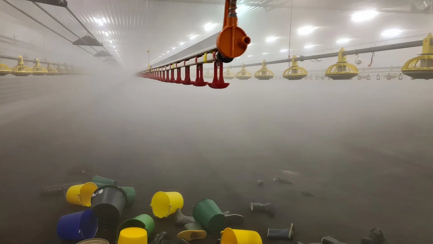 Karinieemn Kiiskin tila broilerhallin desifiointi