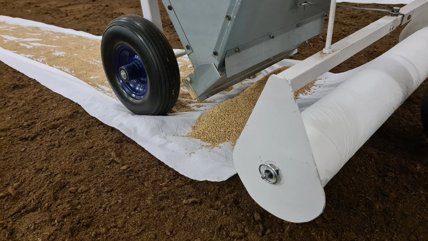 Kariniemen Kiiskin tila rehua