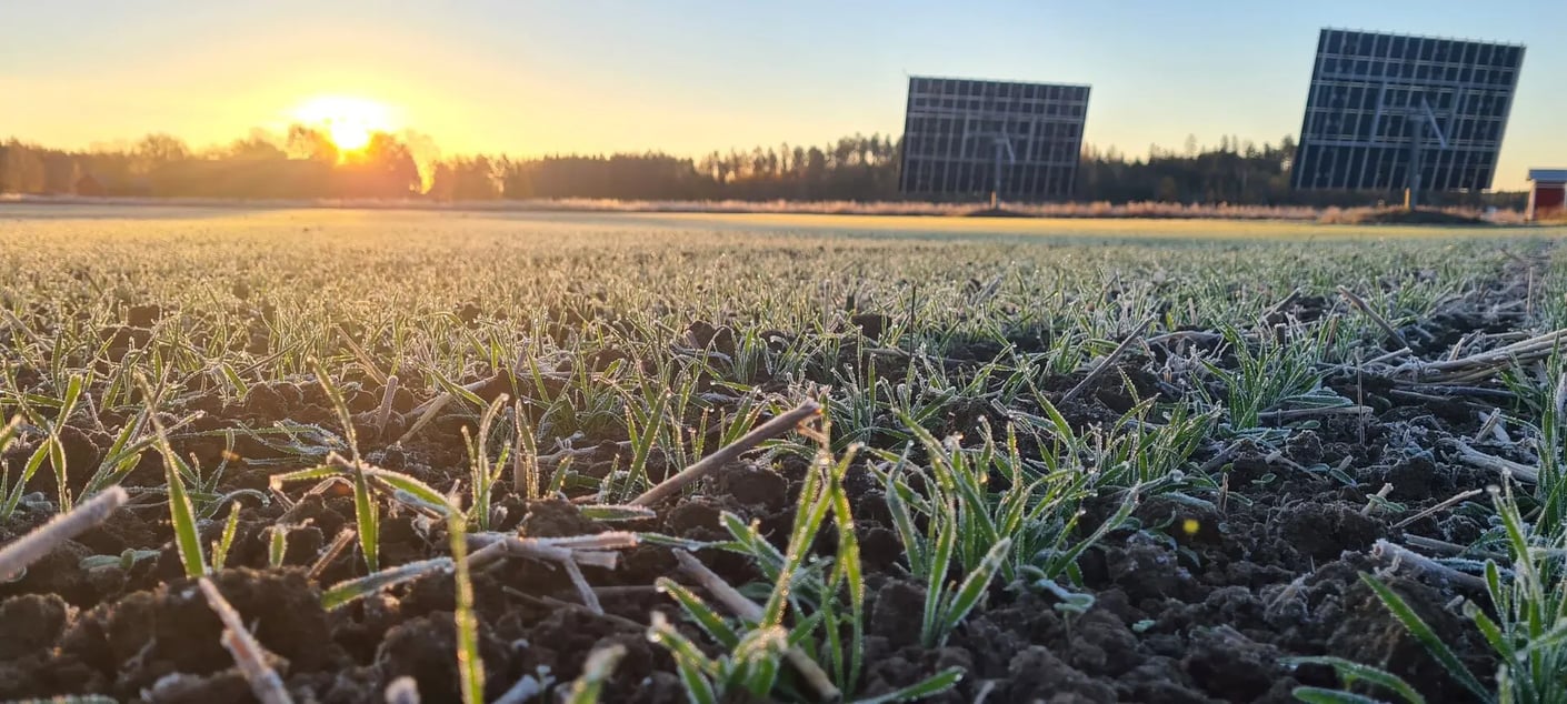 Kariniemen Kiiskin tila syysoraat lokakuussa