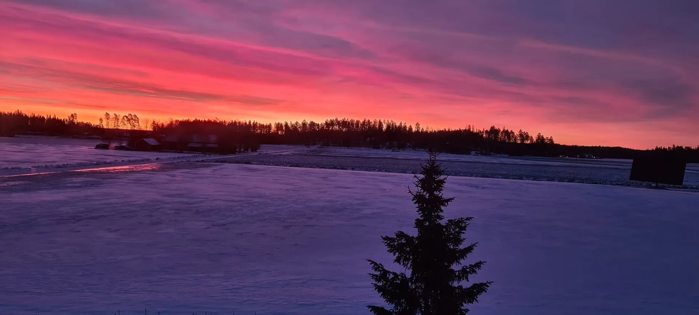 Kariniemen Kiiskin tila talvimaisema