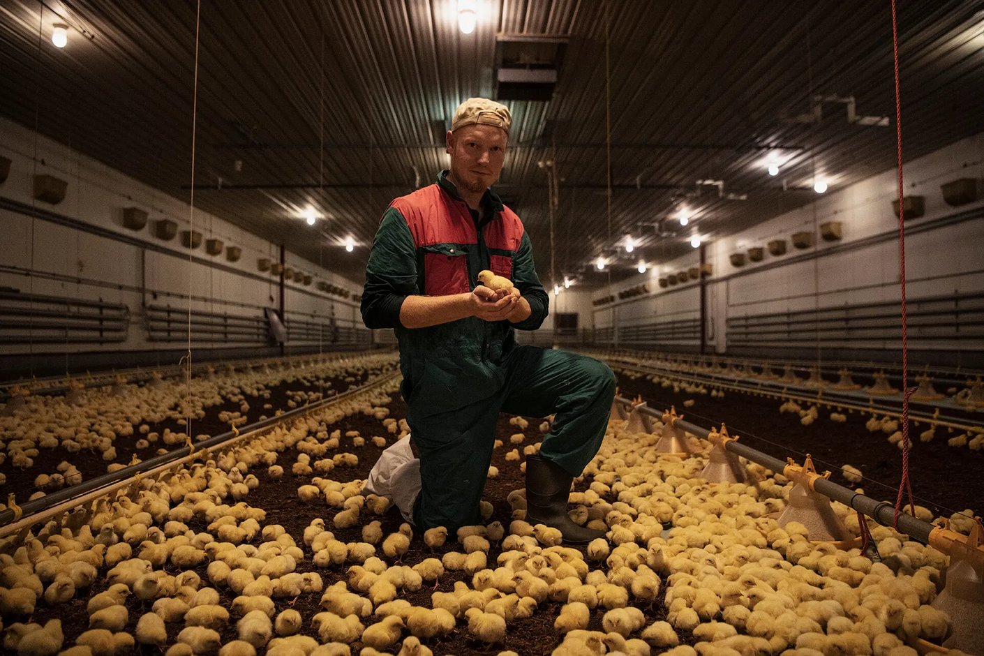 Model.ImageDescription