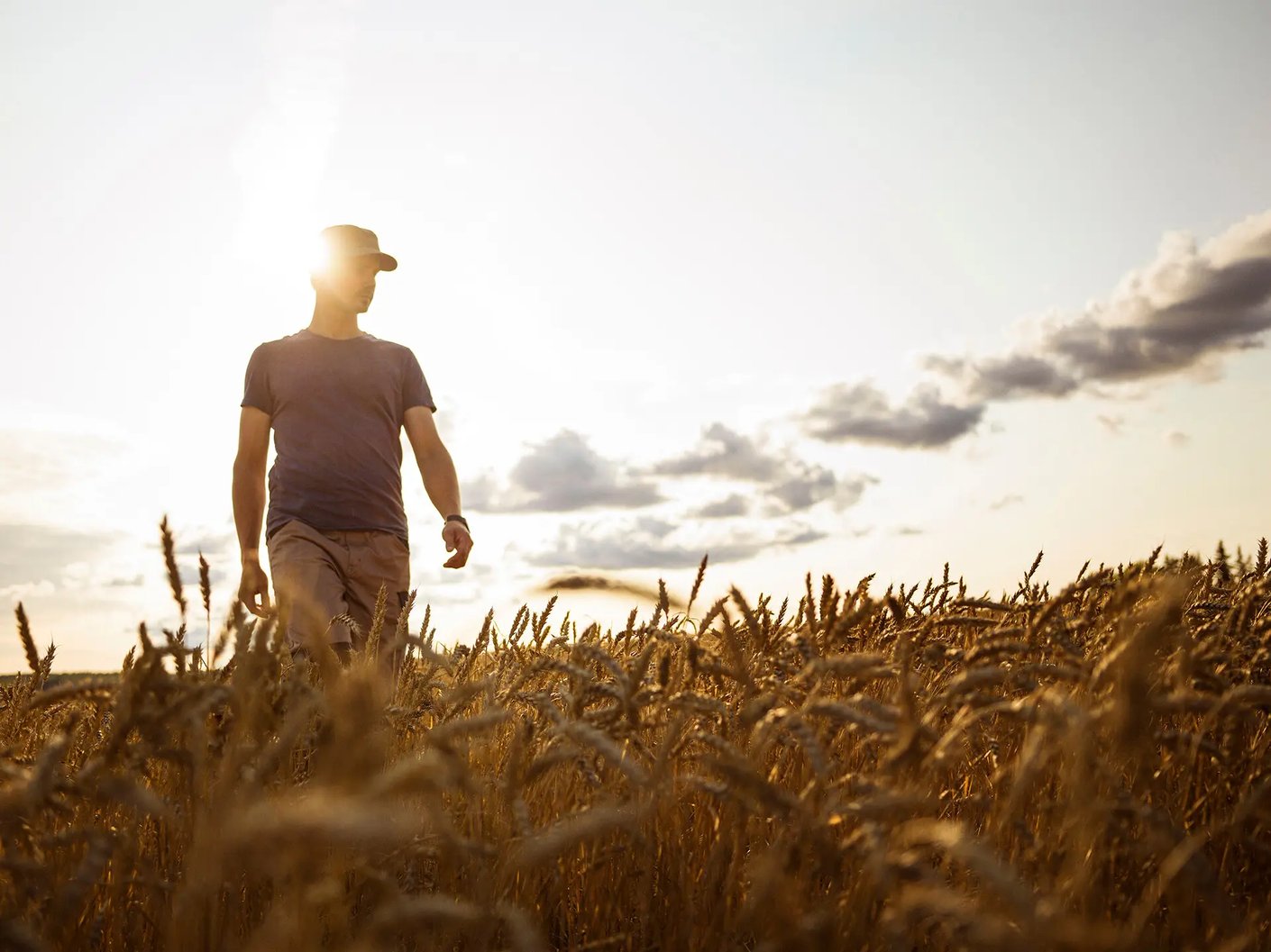 Model.ImageDescription