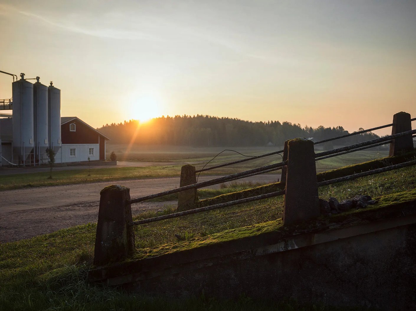 Model.ImageDescription