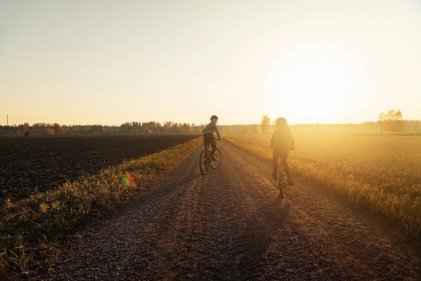 Model.ImageDescription