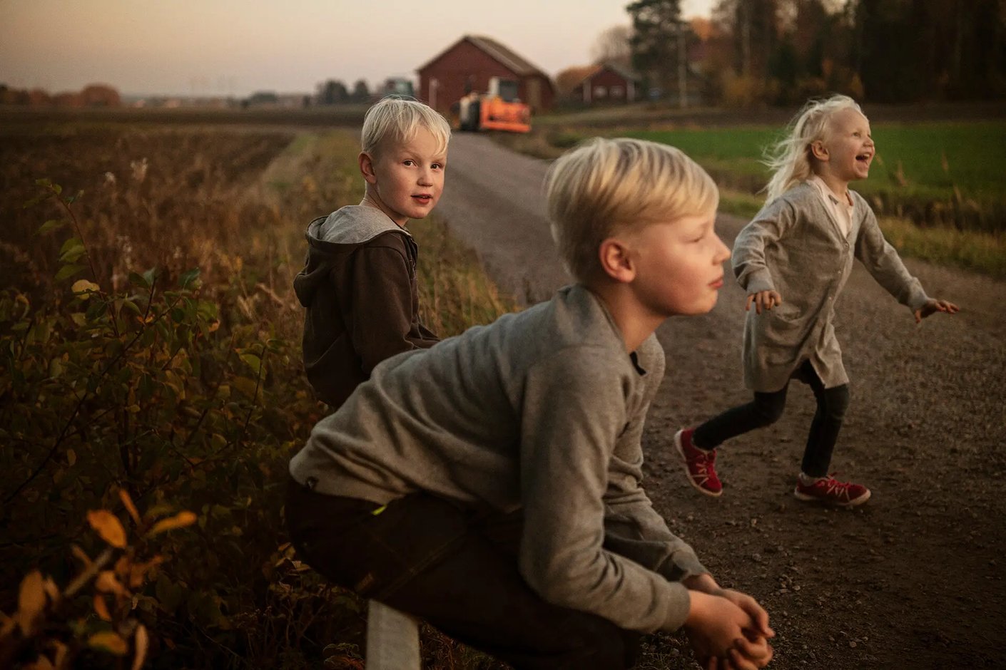 Model.ImageDescription