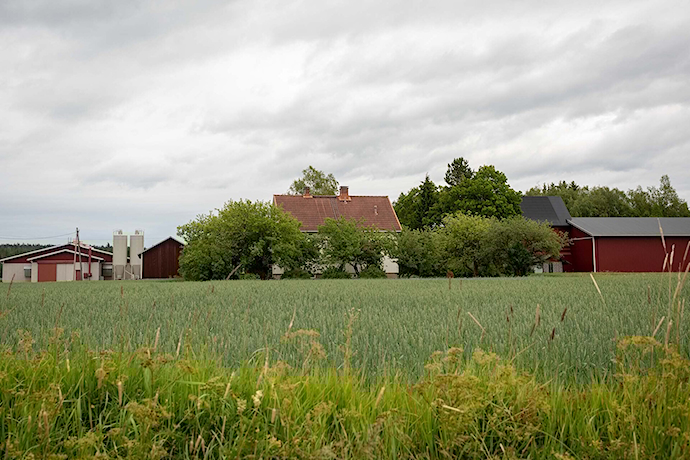 Kylänpään tila